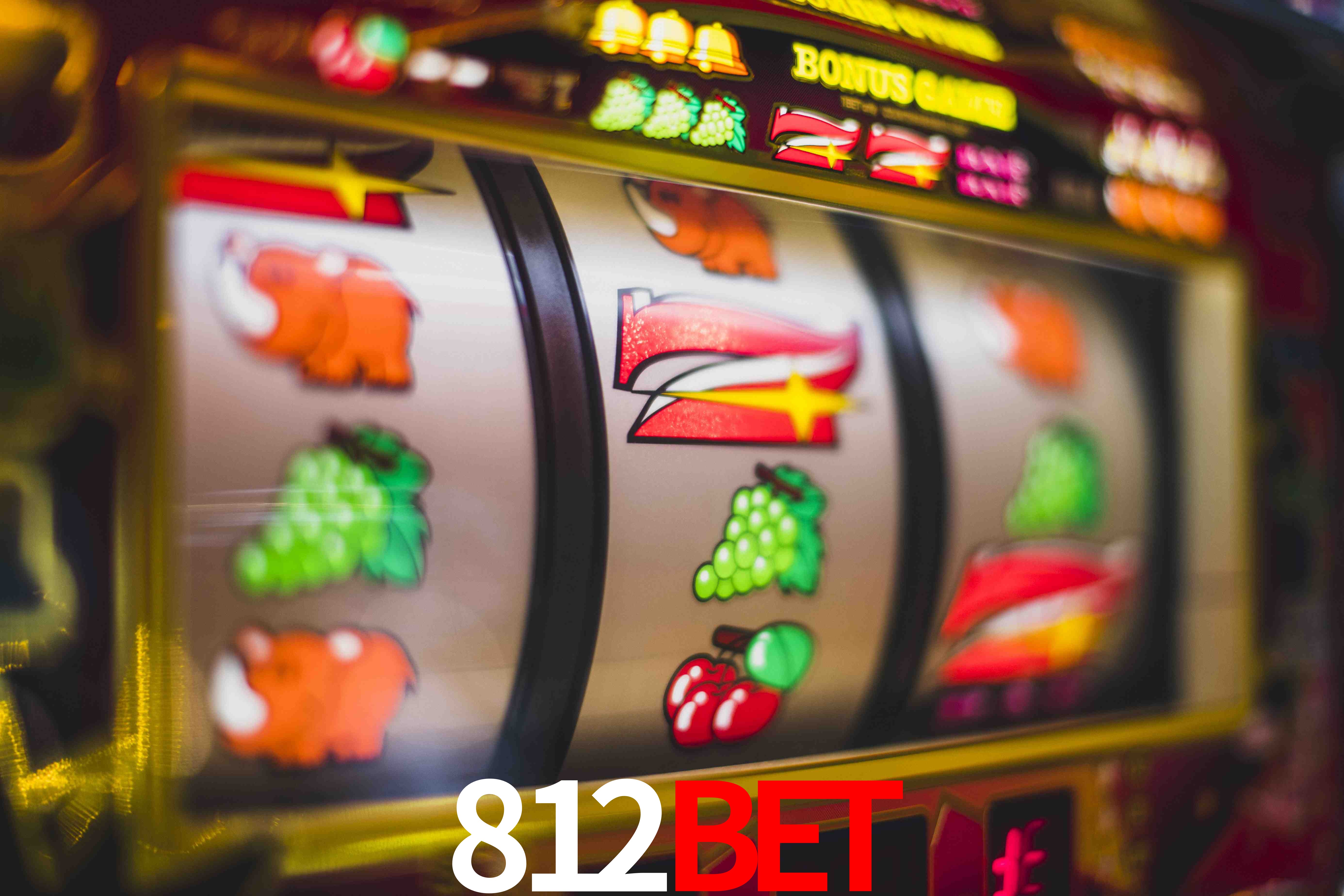 Crash Games Statistics 812bet